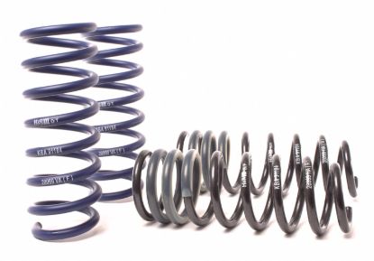 Picture of H&R Special Springs LP Coil Spring Lowering Kit - 28999-1