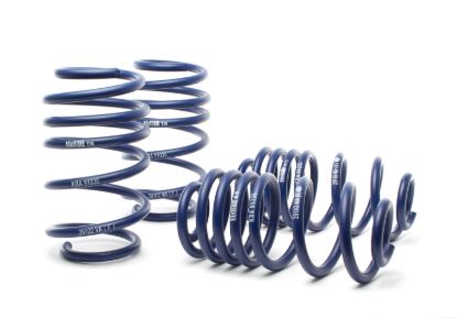 Picture of H&R Special Springs LP Coil Spring Lowering Kit - 29102-2