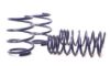 Picture of H&R Special Springs LP Coil Spring Lowering Kit - 29205