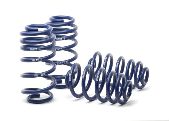 Picture of H&R Special Springs LP Coil Spring Lowering Kit - 29369-1