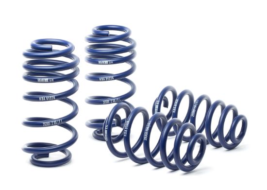 Picture of H&R Special Springs LP Coil Spring Lowering Kit - 29369-2