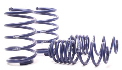 Picture of H&R Special Springs LP Coil Spring Lowering Kit - 29378-2