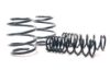 Picture of H&R Special Springs LP Coil Spring Lowering Kit - 29380