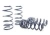 Picture of H&R Special Springs LP Coil Spring Lowering Kit - 29439-2