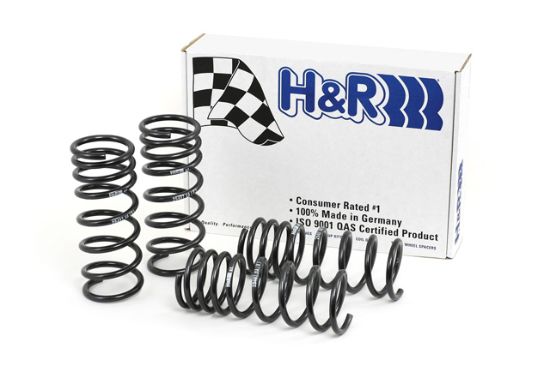 Picture of H&R Special Springs LP Coil Spring Lowering Kit - 29487-1