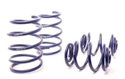 Picture of H&R Special Springs LP Coil Spring Lowering Kit - 29593