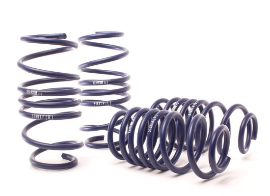 Picture of H&R Special Springs LP Coil Spring Lowering Kit - 51890