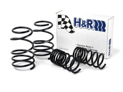 Picture of H&R Special Springs LP Coil Spring Lowering Kit - 53069