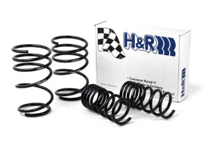 Picture of H&R Special Springs LP Coil Spring Lowering Kit - 53069-2