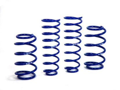 Picture of H&R Special Springs LP Coil Spring Lowering Kit - 54342