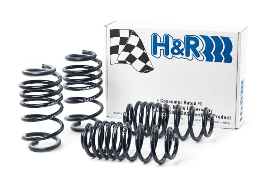 Picture of H&R Special Springs LP Coil Spring Lowering Kit - 54752