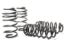 Picture of H&R Special Springs LP Coil Spring Lowering Kit - 54761