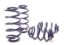 Picture of H&R Special Springs LP Coil Spring Lowering Kit - 54773