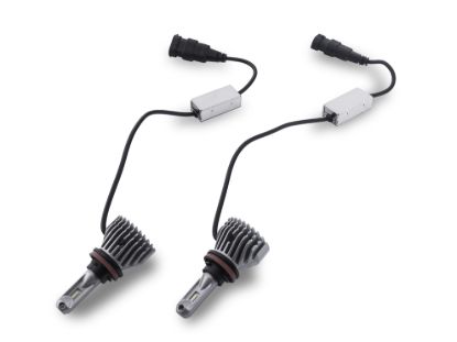 Picture of Raxiom Fog Light Bulb - U1420