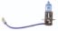 Picture of ANZO USA Headlight Bulb - 800013