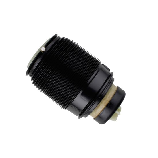 Picture of Bilstein Air Suspension Spring - 40-303444