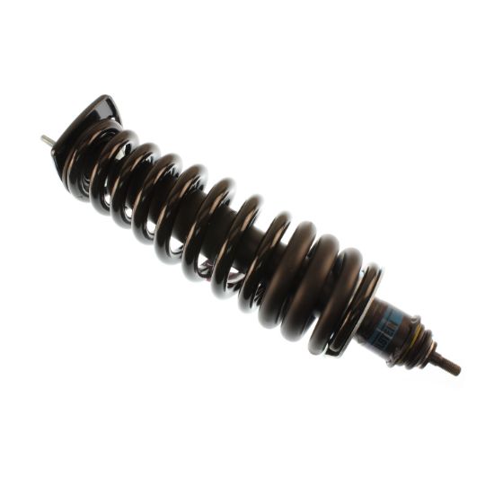 Picture of Bilstein Suspension Strut Assembly - 41-173435
