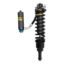 Picture of Bilstein Suspension Shock Absorber and Coil Spring Assembly - 41-326350