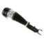 Picture of Bilstein Air Suspension Strut - 44-110505