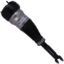 Picture of Bilstein Air Suspension Strut - 44-275396
