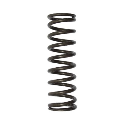 Picture of Bilstein Coil Spring - E-FD01-0000167