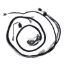 Picture of BluePrint Engines Automatic Transmission Wiring Harness - BPP558470