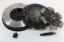 Picture of Competition Clutch Transmission Clutch and Flywheel Kit - 5097-1620