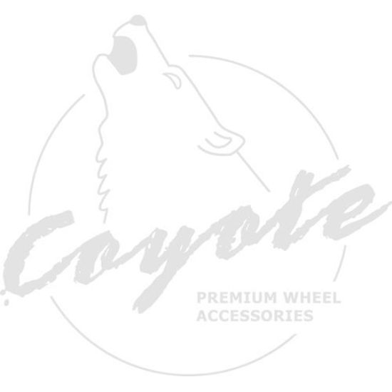 Picture of Coyote Premium Wheel Accessories Wheel Hub Ring - 106-6710