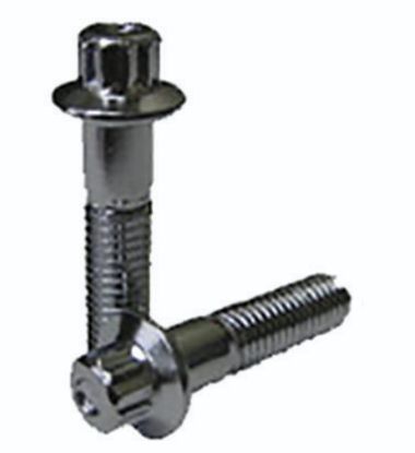 Picture of Coyote Premium Wheel Accessories Wheel Lug Nut - 33019
