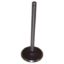 Picture of Crown Automotive Jeep Replacement Engine Intake Valve - 33003515