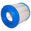 Picture of Crown Automotive Jeep Replacement Engine Air Filter - 4891097AA
