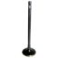 Picture of Crown Automotive Jeep Replacement Engine Intake Valve - 5047068AB