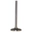 Picture of Crown Automotive Jeep Replacement Engine Intake Valve - 53006723