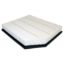 Picture of Crown Automotive Jeep Replacement Engine Air Filter - 53010798AD