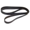 Picture of Crown Automotive Jeep Replacement Serpentine Belt - 53011098