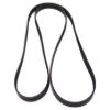 Picture of Crown Automotive Jeep Replacement Serpentine Belt - 53013676AB