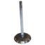Picture of Crown Automotive Jeep Replacement Engine Intake Valve - 53020747AB