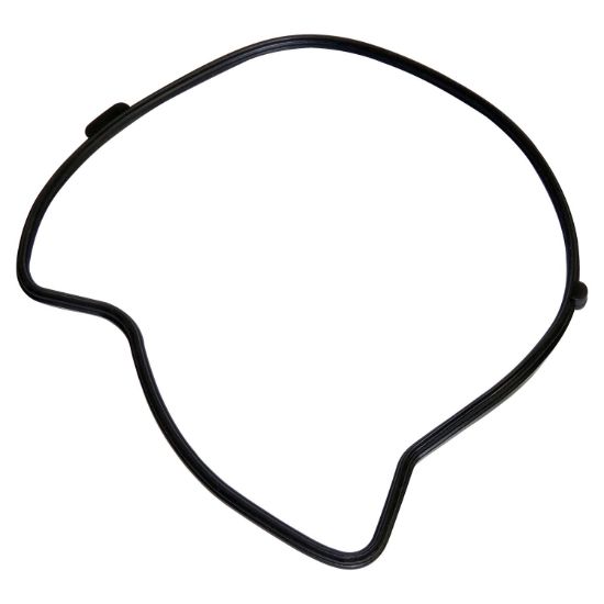 Picture of Crown Automotive Jeep Replacement Engine Water Pump Gasket - 53020865