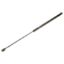 Picture of Crown Automotive Jeep Replacement Liftgate Lift Support - 55029558
