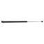 Picture of Crown Automotive Jeep Replacement Liftgate Lift Support - 55029560