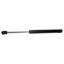 Picture of Crown Automotive Jeep Replacement Liftgate Lift Support - 55113470AA