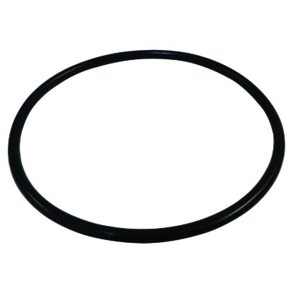 Picture of Crown Automotive Jeep Replacement Fuel Pump and Level Sensor Module Seal - 55366298AA