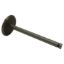 Picture of Crown Automotive Jeep Replacement Engine Intake Valve - J3182585