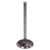 Picture of Crown Automotive Jeep Replacement Engine Intake Valve - J3242659