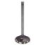 Picture of Crown Automotive Jeep Replacement Engine Intake Valve - J3242659