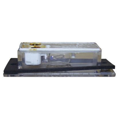 Picture of Crown Automotive Jeep Replacement License Plate Light - J3670544