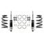 Picture of Detroit Speed - Archived Coilover Adjustable Spring Lowering Kit - 030313DS