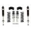 Picture of Detroit Speed - Archived Coilover Adjustable Spring Lowering Kit - 042432-DDS