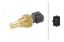 Picture of Hella Engine Coolant Temperature Sensor - 009107211