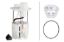 Picture of Hella Fuel Pump and Sender Assembly - 358300601